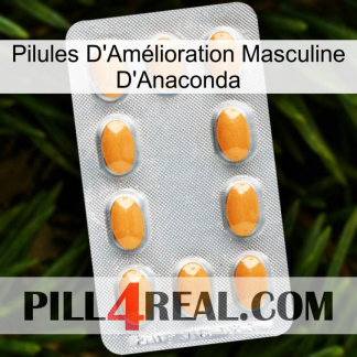 Anaconda Male Enhancement Pills cialis3
